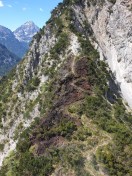 Bild 203.JPG