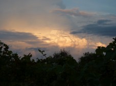 FW-Ausflug 2014 078